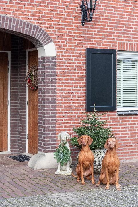 Gunneman_Enschede_JV-14.jpg