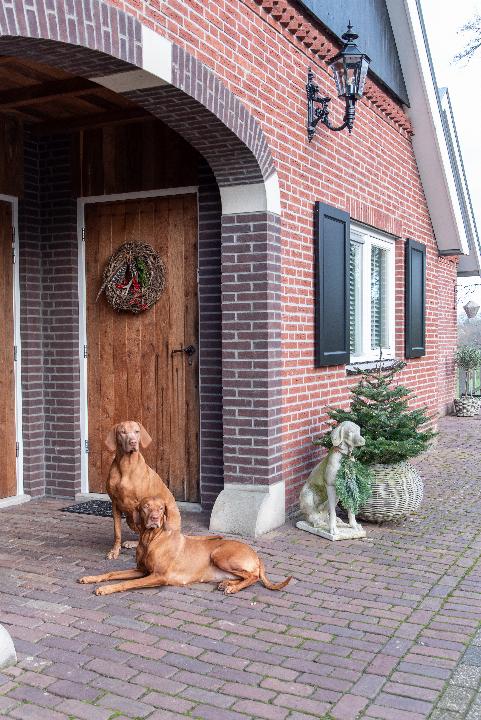 Gunneman_Enschede_JV-18.jpg