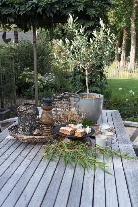 Adriananoort_Overberg_JV-26.jpg