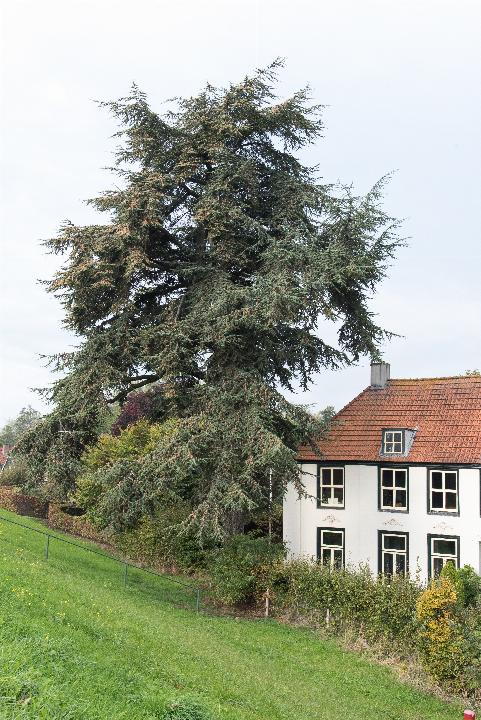 sigarenfabriek_dodewaard_JV-01.jpg