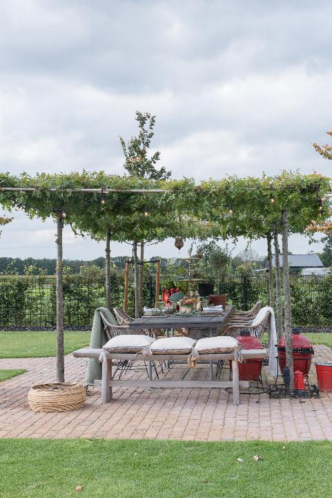 Kort_Rijen_JV-53.jpg