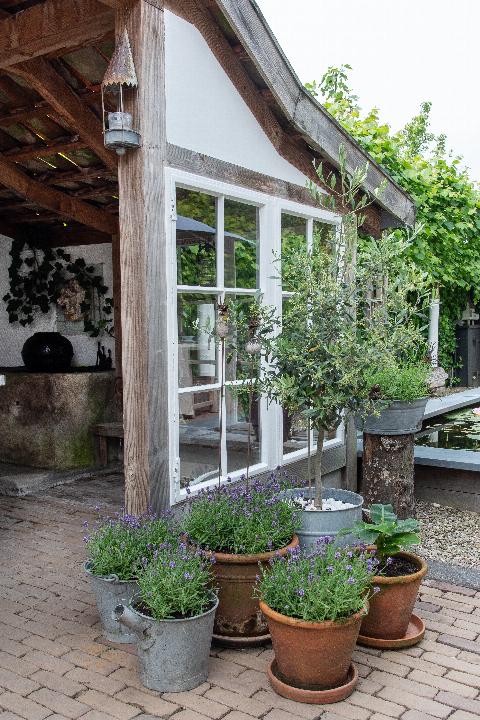 Rademakers_ LageZwaluwe_JV-29.jpg