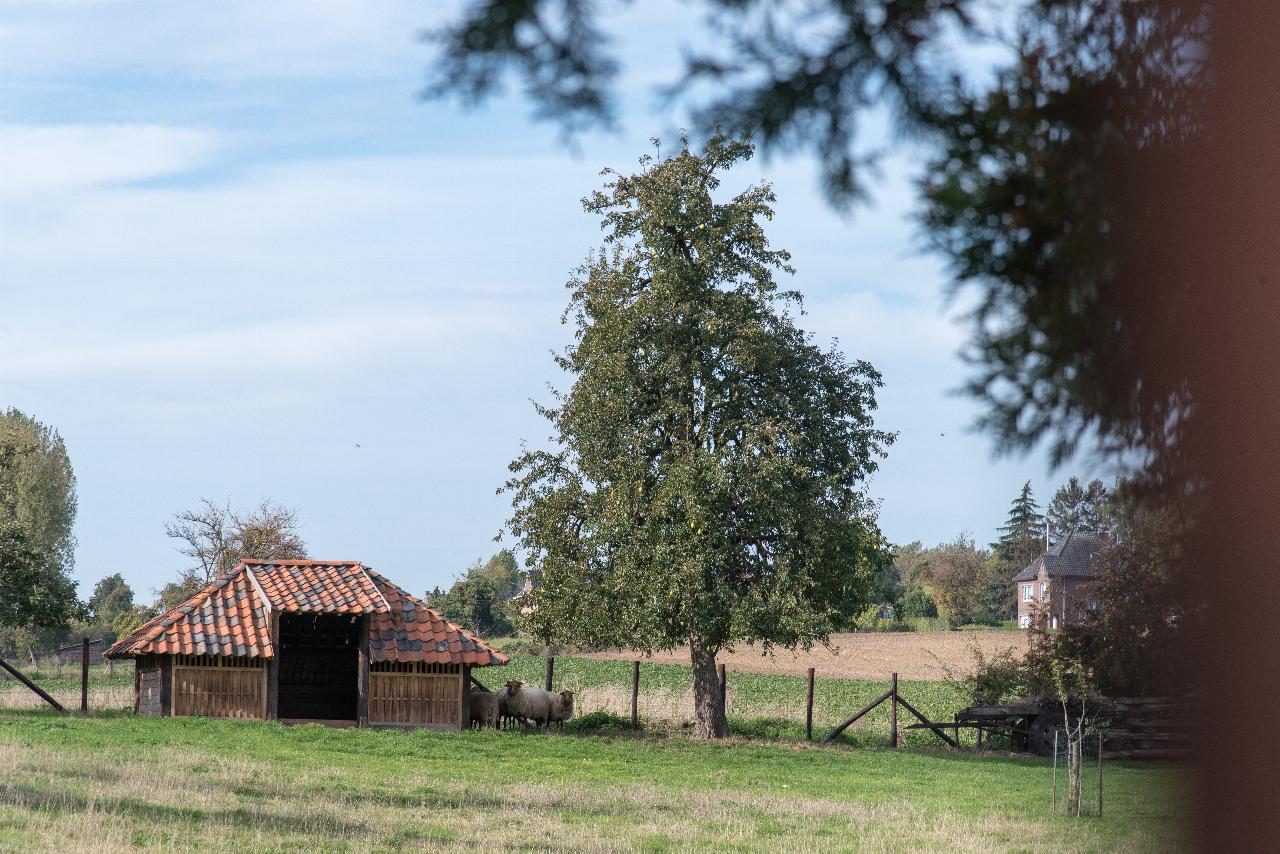 deWenkeshoeve_Hoesselt_JV-054.jpg