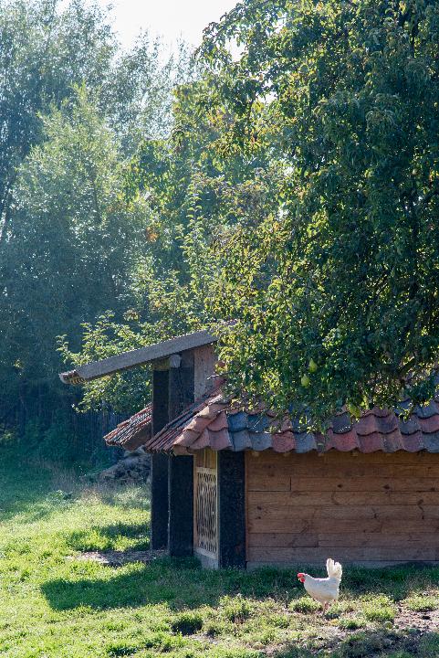deWenkeshoeve_Hoesselt_JV-064.jpg