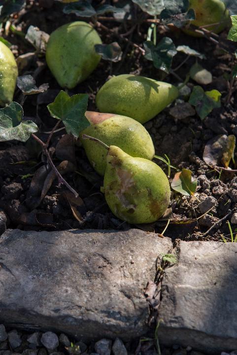 deWenkeshoeve_Hoesselt_JV-067.jpg