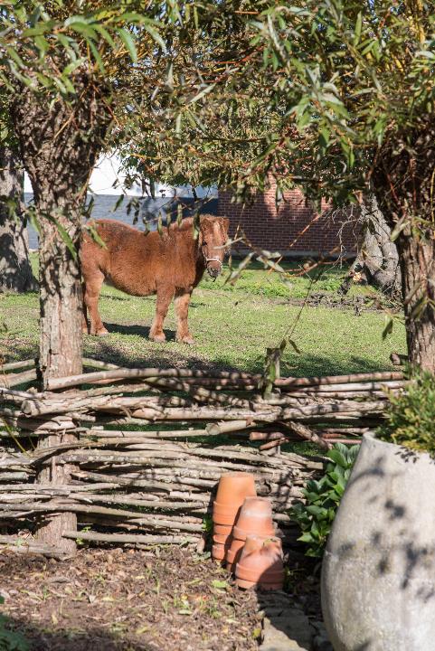deWenkeshoeve_Hoesselt_JV-069.jpg