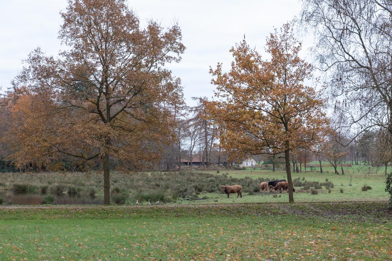 Vledderhof_Vledder_JV-79.jpg