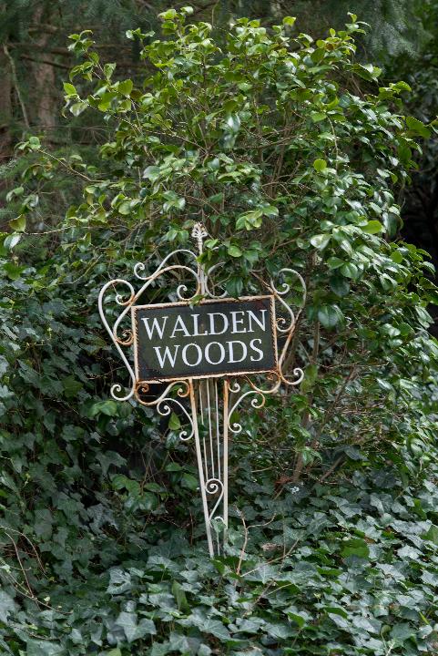 WaldenWoods_Blaricum_JV-11.jpg