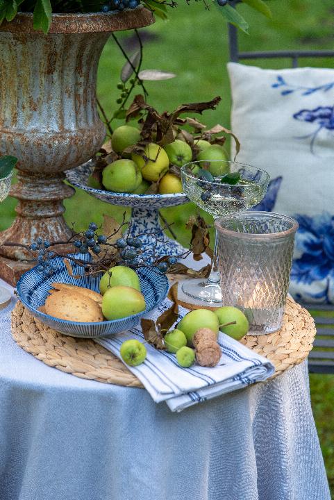 oasis_belgie_JV-07.jpg