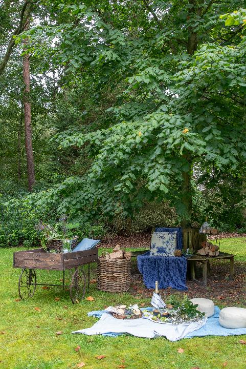 oasis_belgie_JV-12.jpg