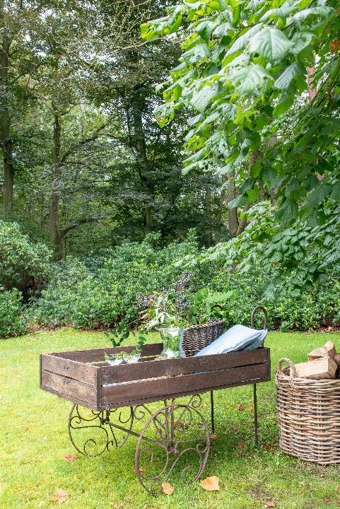 oasis_belgie_JV-19.jpg