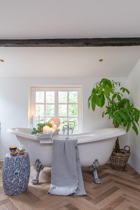 oasis_belgie_JV-46.jpg